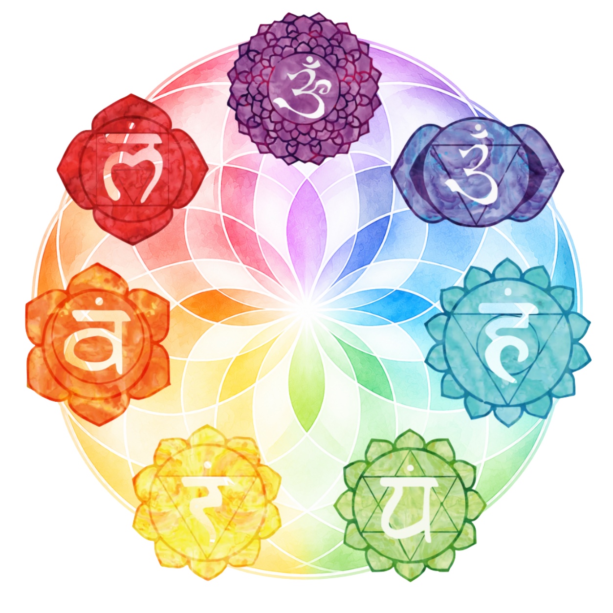 The seven chakra symbols arranged around a rainbow energy wheel